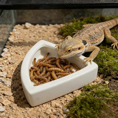 2 Pcs Reptile Food Dish Bowl Ceramic Anti-Escape Mealworms Bowl for Small Reptile Leopard Bearded Dragon Chameleon Hermit Crab (Triangle Shape)