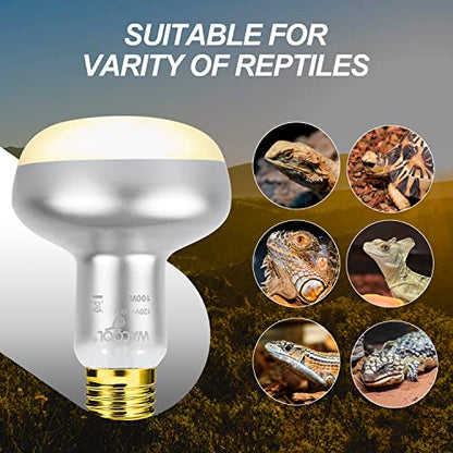 WACOOL 4 Pack Heat Lamp Bulbs for Reptiles, 100W Intense Basking Spot Lights, Simulate Daytime Sunshine Heat Bulbs, UVA Daylight Heat Lamp for Bearded Dragon, Lizard, Turtle, Tortoise, Gecko - style: 100W-4 pack