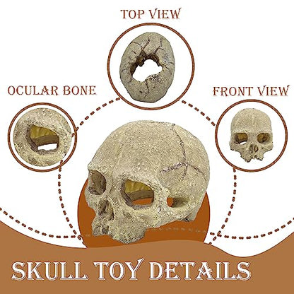 Bearded Dragon Skull Hide Decor,Reptile Natural Seagrass Hammock Lizard Lounger Reptiles Tank Accessories Jungle Climber Bendable Vine Habitat Decorations for Chameleon Spider Snakes(4Pcs)