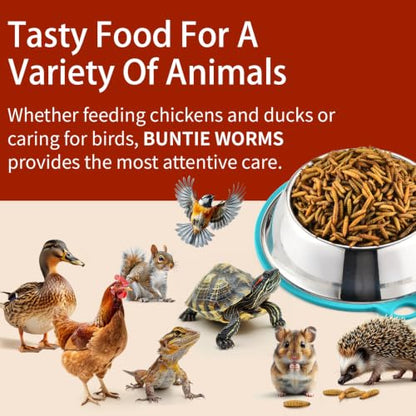 BUNTIE WORMS 5LB Dried Black Soldier Fly Larvae for Chickens Food | More Calcium Than Mealworms, High Protein Chicken Treats, 100% Natural Non-GMO Chicken Feed for Wild Birds, Ducks, Reptiles - size: 5 Pound (Pack of 1)