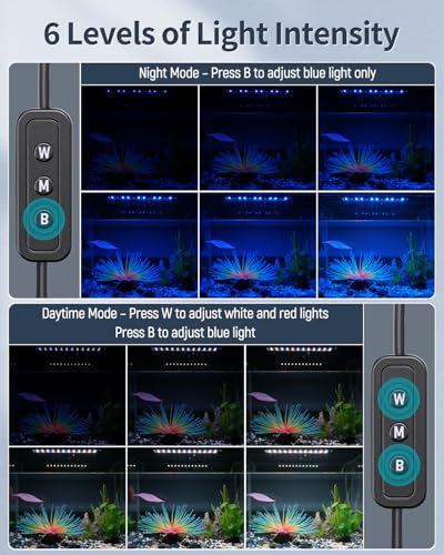 Pawfly 6 W Aquarium LED Light for 6" to 10" Fish Tanks Extendable Fish Tank Light with Full Spectrum Brilliant White Blue Red Lights with Daytime & Night Modes and Adjustable Brightness - color: Basic, size: 6"-10"