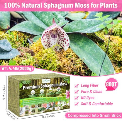 Riare 4.4LB Premium Sphagnum Moss for Plants- 80QT Natural Dried Plant Moss | Moisture Retention & Drainage Orchid Moss for Repotting, Succulents, Carnivorous, Ferns, Green Moss for DIY Craft, Reptiles - size: 80 QT(Appx.4.4lbs)