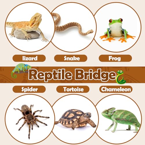 Vodolo Reptile Bridge,Bearded Dragon Hammock,Lizard Tank Climbing Accessories Gecko Reptile Decor for Habitat,Hamster Cage Accessories 12 in