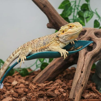 3 Pcs Leaf Shape Crested Gecko Hide, Plastic Wall Climbing Leaf Platform with Suction Cups Reptile Tank Accessories for Tree Frog Turtle Leopard Gecko (Dark Green)