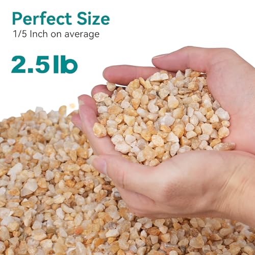 2.5 lbs Coarse Sand for Plants, 1/5 Inch Horticultural Sand for Vases, Aquariums, Terrarium, Fish Tank, Drainage Rocks for Potted Plants, Bamboo, Succulent, Crafts, Cactus - color: Gold Sand