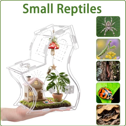 Magnetic Acrylic Enclosure for Jumping Spiders & Small Reptiles – 5.9"x4.7"x9.4" Escape-Proof Habitat with Easy-Feed Magnetic Door, 3mm Thick Clear Terrarium for Tarantulas, Mantis, Geckos & Beetles