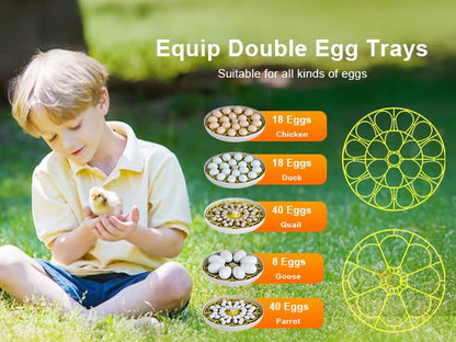 IBKINXX Incubator for Hatching Eggs-18 Egg Capacity, Newly Upgraded Automatic Egg Turner, Temperature & Humidity Control, 360° Viewing for Chicken, Duck and Quail Eggs (Black) | Automatic Temp & Humidity Control, Auto Egg Turning & Built-in Egg Candler fo