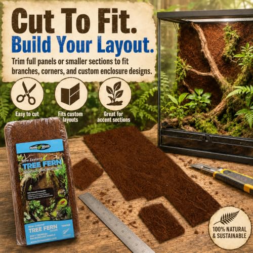 Fernwood - Vivarium and Terrarium Background Panels - 2 Pack - 18x6x.06 | Backdrop For Reptile, Amphibian, and Botanical Tanks - Made from New Zealand Tree Fern - Natural and Fibrous - size: Long 18x6x.06