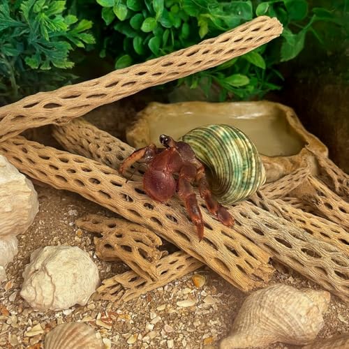 Koyal Wholesale Natural Cholla Wood Aquarium Branches, Airplants Decor, Reptile Perch, Untreated Cholla Wood Piece, Aquarium Driftwood Leopard Gecko Tank & Hermit Crab Accessories (2lb Bag) - size: 2lb Bag