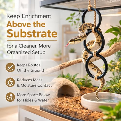 2PCS Snake Climbing Rings for Ball Python - Enrichment Toys for Corn Snake | Reptiletank Cage Decor Habitat Accessories | Terrarium, Bearded Dragon, Chameleon, Iguana, Gecko, Lizard, Parrot