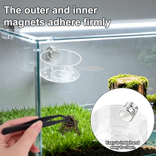 4pcs Jumping Spider Feeding Dish Set, Including Magnetic Water Bowl Dishes Dropper & Tweezer Small Pets Food Magnet Accessories for Tarantulas Reptiles Enclosure Supplies Dispenser Hide