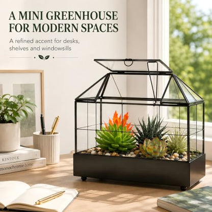 Large Tall Plant Terrarium Glass – Glass Greenhouse Terrarium with Lid and Tray,Indoor Tabletop Orchid Succulent Cacti Terrarium Kit 9.5”X9.8”X5.6”