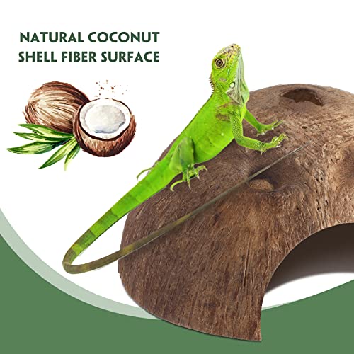 Woanger 6 Pcs Natural Coconut Reptile Hideouts, Coco Hut Hide Toys for Lizards, Geckos, Hermit Crabs, Snakes, Tarantulas, Small Reptile Habitat Decoration Supplies