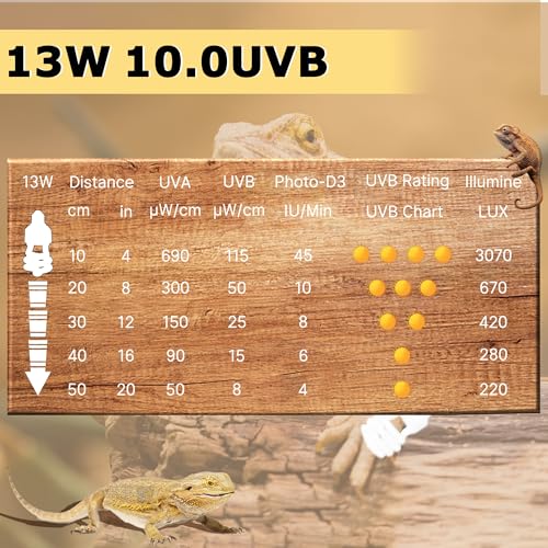 UVB 5.0 13W Desert Reptile Light, Compact Coil UVB Bulb Lamp | Simulates Natural Sunlight, Delivers Strong UVB Rays for Desert Species Like Snakes, Geckos, Lizards & Terrarium Tanks