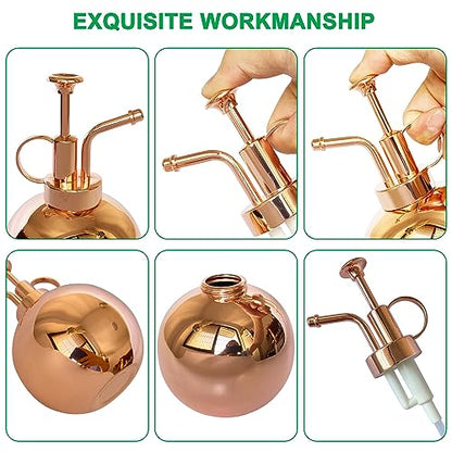 Stainless Steel Plant Sprayer, Small Watering Can Plant Misting Bottle, Modern Gardening Tools for Indoor Potted Plants Watering and Misting - color: 17oz/ Rose Gold