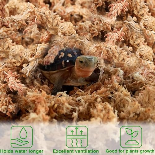 Halatool 10 OZ Sphagnum Moss for Plants, 14 QT Long Fiber Dried Orchid Moss | Drainage & Moisture Retention, Natural Moss for Ferns, Succulents, Carnivorous, Orchid Repotting, Terrariums, Reptile Bedding - size: 14 qt (0.6 lbs)