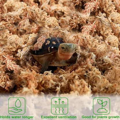 Halatool 3.6 OZ Sphagnum Moss for Plants, 4 QT Long Fiber Dried Orchid Moss | Drainage & Moisture Retention, Natural Moss for Ferns, Succulents, Carnivorous, Orchid Repotting, Terrariums, Reptile Bedding - size: 4 qt (0.2 lbs)