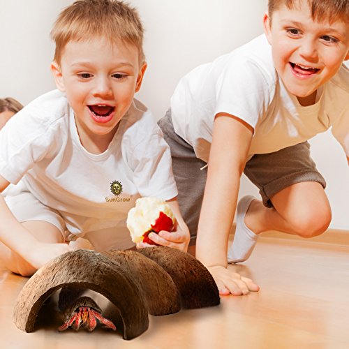SunGrow Hermit Crab Coconut Cave, Spacious Hide Interior Habitat Comfort Zone, Ascension Coco Shelter Tank Decor Utility, Aquarium Terrarium Accessory Reptile Compatible Enclosure Feature Design