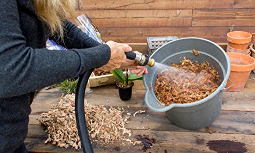SuperMoss (22330) Orchid Sphagnum Moss Dried, Natural, 2.1lbs Small Bale - size: 2.1 lbs, style: Small Bale (Fertilizer)
