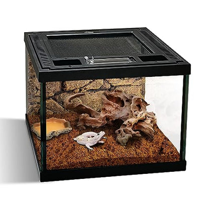 Mini Reptile Glass Terrarium Tank 8 * 8 * 6" Full View, Amphibians Habitat Enclosure Cage for Frog,Spiders,Dubia Cockroach,Praying Mantis,Cricket,Tarantula,Hermit Crab - size: 8*8*6inch