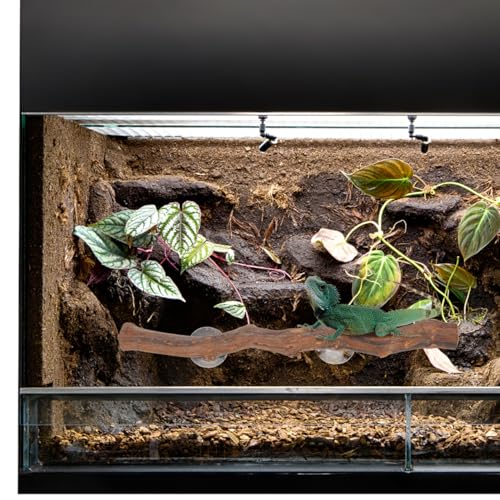 POPETPOP Wood Display Stand Reptile Accessory Grapewood Stand for Bearded Dragon Lizard Terrarium Wooden Climbing Toy with Smooth Round Edges 11.81 X 1.18 X 1.18 in