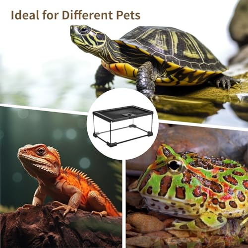 Mini Reptile Glass Terrarium 12"x8"x6", Full View Rainforest Vivarium Tank, Stackable Amphibian Enclosure Cage for Turtles, Geckos, Frogs, Hermit Crabs, No Installation Needed - size: 12"L x 8"W x 6"H