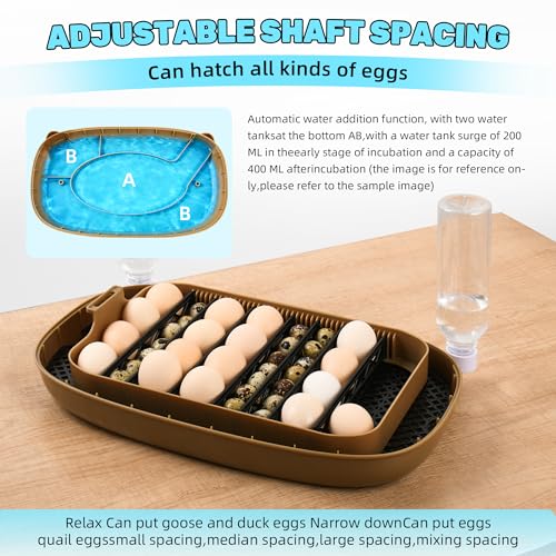 Ploomi 24 Eggs Incubator with Auto Water Refill & Humidity Control, Automatic Egg Turner, Built-in LED Candler, Species Pre-Programs for Chicken Duck Quail Turkey - Beginner Friendly