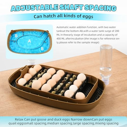 24 Eggs Incubator with Auto Water Refill & Humidity Control, Automatic Egg Turner, Built-in LED Candler, Species Pre-Programs for Chicken Duck Quail Turkey — Beginner Friendly