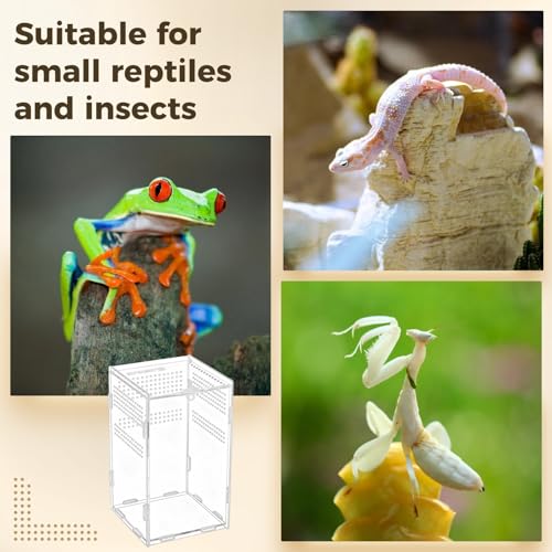 Acrylic Reptile Enclosure, 4.7x4.7x7.9 Inch Vivarium Terrarium for Gecko, Frogs, Fully Transparent Habitat with Optimal Ventilation, Front Opening Door for Easy Access