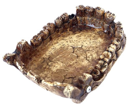 Food/Water Dish for Reptiles, Amphibians and Other Little Critters Water/Food Bowl, Made from Premium Resinl, Reptile Feeding Bowls for Bearded Dragon Lizard,Hermit Crab,Gecko,Tortoise - color: Dark Brown