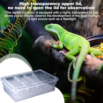 Reptile Breeding Hatching Box, PP Transparent Container with Clear Cover, Anti-Slip Incubator Box for Turtle, Gecko, Snake Egg Hatching