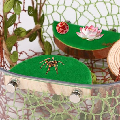 Jumping Spider Enclosure Accessories Kit, 4 Wood Ledges 6 Climbing Webs 1 Hemp Rope Bridge Spider Habitat Decor Enrichment Set for Small Reptile Terrarium Climbing Resting & Exploration
