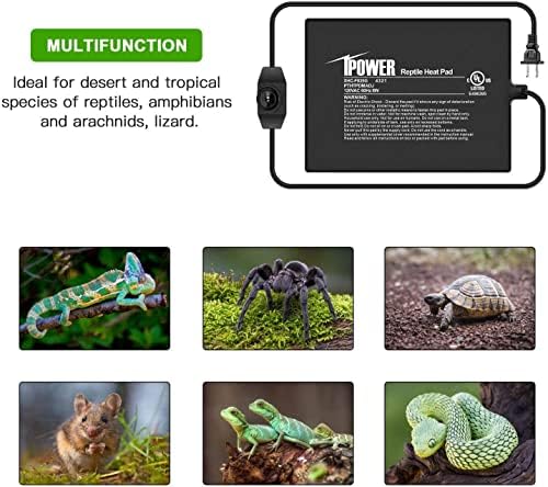 iPower 6x8 Inch Reptile Heating Pad with Adjustable Controller Knob, Under Tank Heater Mat for Turtles, Lizards, Snakes, Amphibians & Small Pets, 2 Pack - size: 6 X 8 Inch, style: 2 Pack Heat Pad with Adjustable Knob