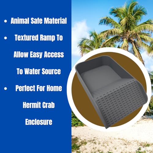 Hermit Crab Watering Pool | Platform Pool Accessory with Access Ramp for Hermit Crabs | 6.5" x 4" | Made in USA (Salt Only, Gray) - color: Salt Only, Gray