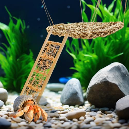 Hermit Crab Climbing Toys Set for Tank and Aquarium Decoration | Seagrass Hammock and Reptile Climbing Ladder with Small Brush, Hermit Crab Accessories for Tank and Aquarium Decoration