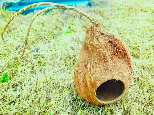 Natural Coconut Reptile Hide with Fiber Loop, Hideout for Gecko, Snake & Fish, Egg Laying Shelter, Hanging Bird House, Perfect for Small Finch, Humming Birds Opening 2” Diameter, 1 Pack (1-Hole)