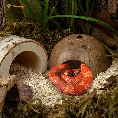 2 Pack Natural Coconut Reptile Hideouts, Lizard, Spider and Aquarium Fish Hide Cave (Smooth Surface) - color: Smooth Surface