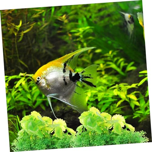 3pcs Realistic Aquatic Plant Decor for Aquariums Lifelike Greenery for Fish Tanks for Tropical Fish Reptile Terrariums and Underwater Landscapes