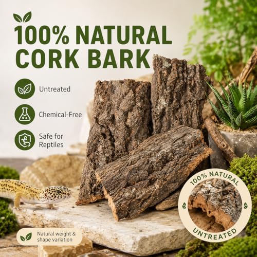 Ciieeo 4 Pcs Cork Bark for Reptiles, Natural Reptile Bark Hideout and Terrarium Wood Climbing Decor, Cork Bark Flats for Reptile Enclosure Background, Jumping Spider and Bearded Dragon Tank Decor