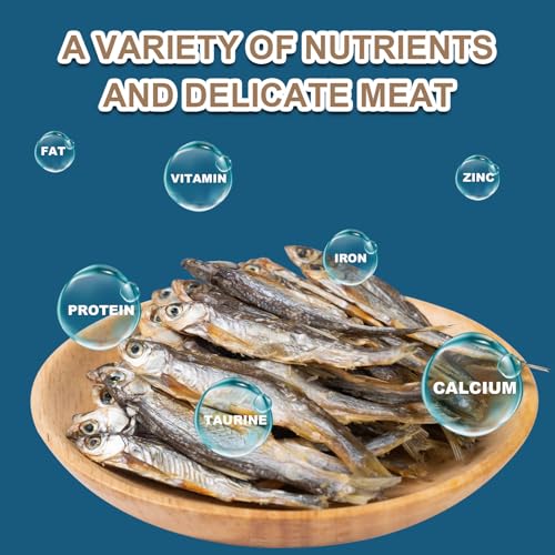 Dried River Fish Minnows, High-Protein Reptile Food, 5.5 oz | Single ingredient, no additives, whole-fish pieces, suitable for turtles, bearded dragons, tropical fish, amphibians and cats