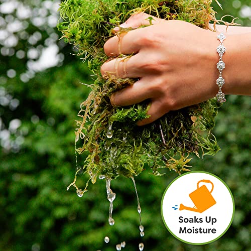 Perfect Plants Premium Sphagnum Moss in 2qt. Resealable Bag | Long fibered Sustainably Harvested Moss | for All Orchid Varieties
