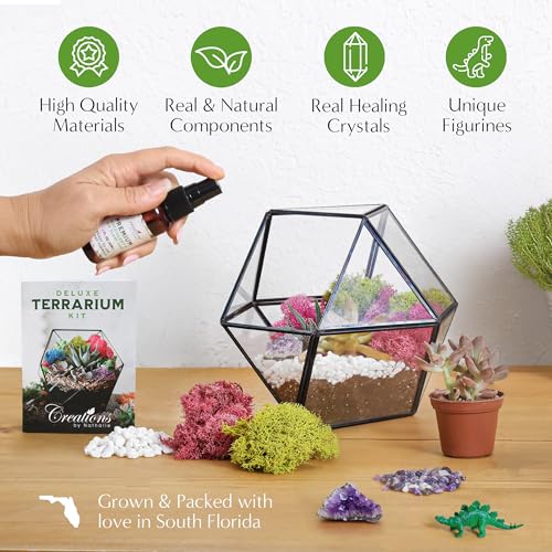 Creations by Nathalie – DIY Large Terrarium Starter Kit with Soil, Moss, Pebbles, Healing Crystal, Tools & Supplies – Terrarium Kit for Adults & Teens, Handcrafted in USA | DIY large terrarium starter kit with premium moss, tools, and essential supplies t