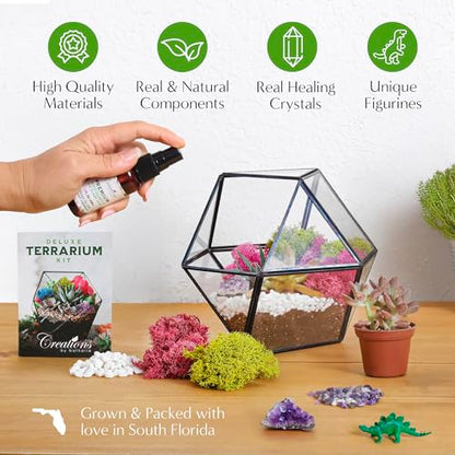 Creations by Nathalie – DIY Large Terrarium Starter Kit with Soil, Moss, Pebbles, Healing Crystal, Tools & Supplies – Terrarium Kit for Adults & Teens, Handcrafted in USA | DIY large terrarium starter kit with premium moss, tools, and essential supplies t
