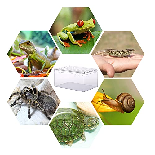 NANEEZOO Magnetic Enclosure for Spider, 12 x 8 x 6 Inch Reptile Breeding Box Terrarium Cage for Insect Tarantulas Amphibians Caterpillars Snail Clear Reptile Feeding Box