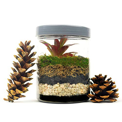 Mosser Lee ML1112 Black Sand Soil Cover, 5 lb. (Pack of 8) - size: Pack of 8
