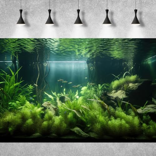 Underwater Aquarium Background Lush Green Aquatic Plants with Sunbeams Fish Tank Background Underwater Rooted Species Stone with Moss Tropical Fish Terrarium Background Vinyl 24x12in - color: Light Green, size: 24(W)x12(H)in