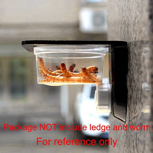 SLSON 100 Pack Gecko Food and Water Cups Gecko Ledge Cups Reptile Worm Bowl Mealworm Feed Feeder for Lizard Leopard Gecko Crested Gecko and Other Small Pets, 1 Oz