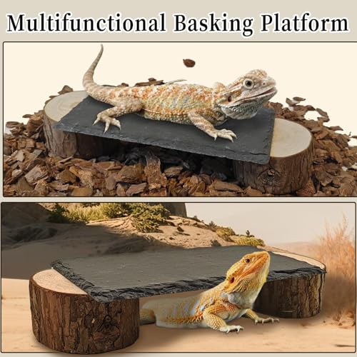 Bearded Dragon Basking Platform,Reptile Slate Rocks with Wooden Pile,Leopard Gecko Hides and Caves Climbing Tank Accessories for Lizards Snakes Tortoise Ball Python(Small)