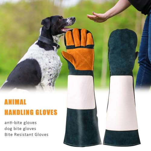 suade Gauntlet Protectors - Animal Handling Gloves, High Temperature Oven Grill Stove Shield, Cut Resistant Accessory Case - color: D
