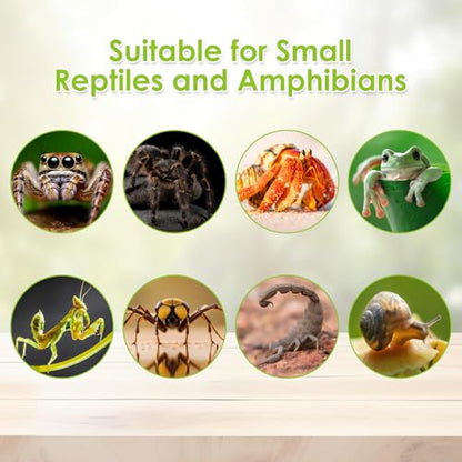 Reptile Terrarium Enclosure 12"x 8"x 6" Acrylic Tarantula Breeding Box Magnetic Hermit Crab Habitat Tank Transparent Jumping Spider Cage for Insect Snail Amphibians Sling Isopods - size: L: Standard Version